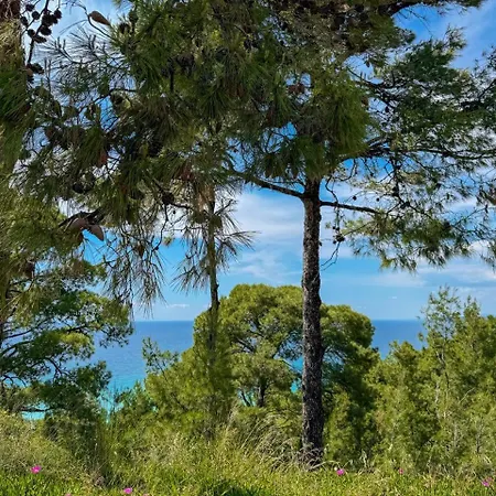 Evelina Elegant Summer House With Sea View Shared Pool Possidi